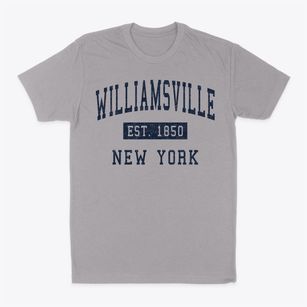 Williamsville New York Classic Established Classic Dad T-Shirt