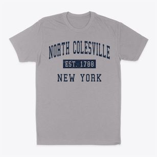 North Colesville New York Classic Established Classic Dad T-Shirt
