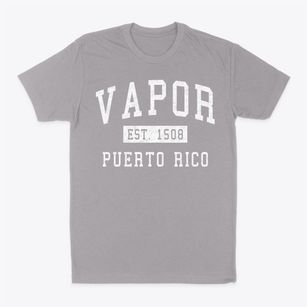 Vapor Puerto Rico Classic Established Classic Dad T-Shirt