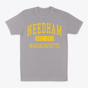 Needham Massachusetts Classic Established Classic Dad T-Shirt