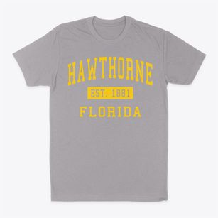 Hawthorne Florida Classic Established Classic Dad T-Shirt