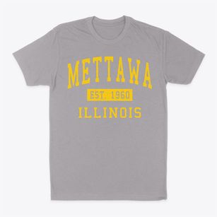 Mettawa Illinois Classic Established Classic Dad T-Shirt