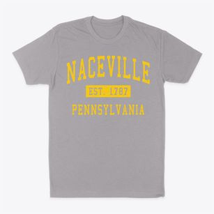 Naceville Pennsylvania Classic Established Classic Dad T-Shirt