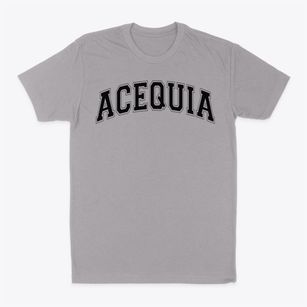 Acequia Elementary School Varsity Arch Classic Dad T-Shirt