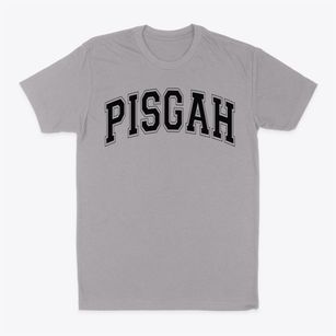 Pisgah Elementary School Varsity Arch Classic Dad T-Shirt