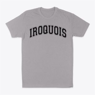 Iroquois School Varsity Arch Classic Dad T-Shirt
