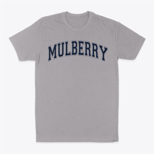 Mulberry Elementary School Varsity Arch Classic Dad T-Shirt