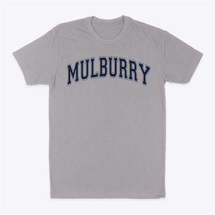 Mulberry Elementary School Varsity Arch Classic Dad T-Shirt
