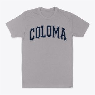 Coloma Junior High School Varsity Arch Classic Dad T-Shirt