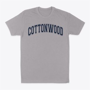 Cottonwood Elementary School Varsity Arch Classic Dad T-Shirt