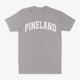 Pineland Christian Academy Varsity Arch Classic Dad T-Shirt