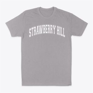 Strawberry Hill Elementary School Varsity Arch Classic Dad T-Shirt