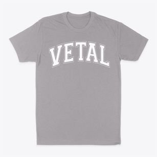 Vetal Elementary Middle School Varsity Arch Classic Dad T-Shirt