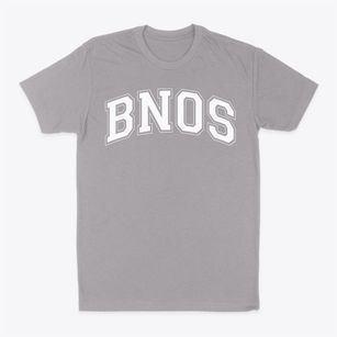 Bnos Israel Girls School Varsity Arch Classic Dad T-Shirt