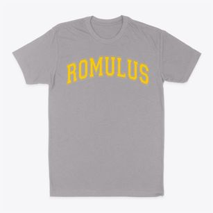 Romulus Elementary School Varsity Arch Classic Dad T-Shirt