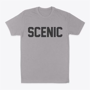 Scenic Arizona Classic Block Classic Dad T-Shirt