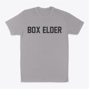 Box Elder South Dakota Classic Block Classic Dad T-Shirt