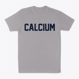 Calcium New York Classic Block Classic Dad T-Shirt