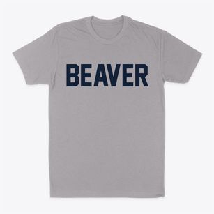 Beaver Ohio Classic Block Classic Dad T-Shirt
