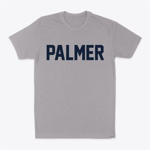 Palmer Illinois Classic Block Classic Dad T-Shirt