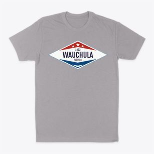 Wauchula Florida Diamond Star Classic Dad T-Shirt
