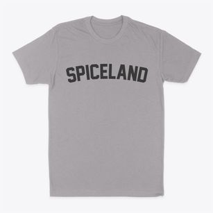 Spiceland Indiana Classic Curve Classic Dad T-Shirt