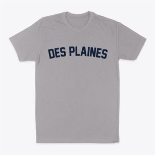 Des Plaines Illinois Classic Curve Classic Dad T-Shirt