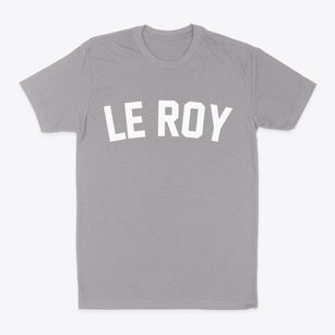 Le Roy Illinois Classic Curve Classic Dad T-Shirt