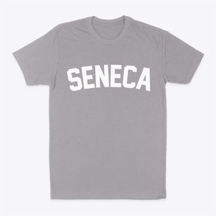 Seneca Illinois Classic Curve Classic Dad T-Shirt
