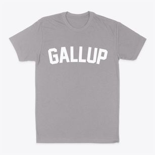 Gallup New Mexico Classic Curve Classic Dad T-Shirt