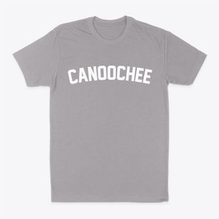 Canoochee Georgia Classic Curve Classic Dad T-Shirt
