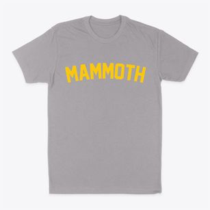 Mammoth Arizona Classic Curve Classic Dad T-Shirt