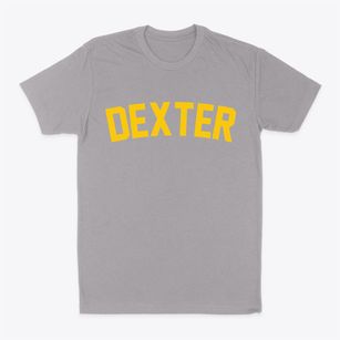 Dexter Wisconsin Classic Curve Classic Dad T-Shirt