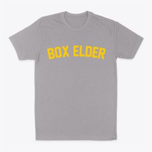 Box Elder South Dakota Classic Curve Classic Dad T-Shirt