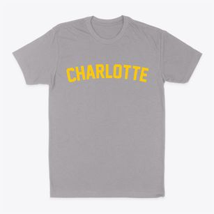 Charlotte Michigan Classic Curve Classic Dad T-Shirt