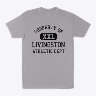 Livingston New York Athletic Dept Classic Dad T-Shirt
