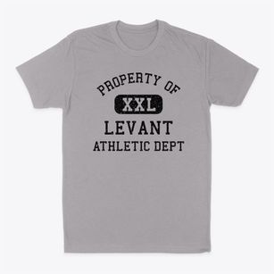 Levant Maine Athletic Dept Classic Dad T-Shirt