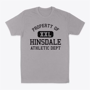 Hinsdale New York Athletic Dept Classic Dad T-Shirt