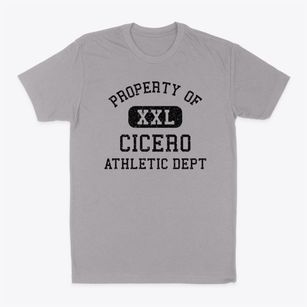 Cicero Illinois Athletic Dept Classic Dad T-Shirt
