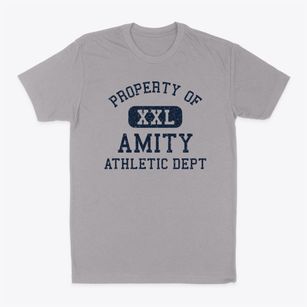 Amity Missouri Athletic Dept Classic Dad T-Shirt