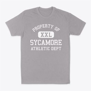 Sycamore Georgia Athletic Dept Classic Dad T-Shirt