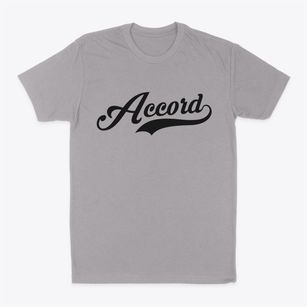 Accord New York Vintage Team Classic Dad T-Shirt