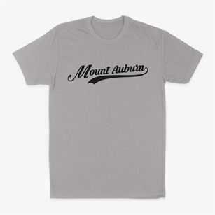 Mount Auburn Illinois Vintage Team Classic Dad T-Shirt