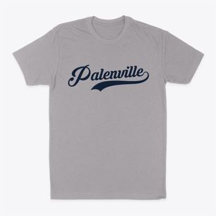 Palenville New York Vintage Team Classic Dad T-Shirt