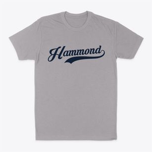 Hammond Indiana Vintage Team Classic Dad T-Shirt