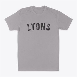 Lyons Wisconsin Timeless Retro Classic Dad T-Shirt