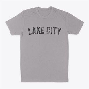 Lake City Pennsylvania Timeless Retro Classic Dad T-Shirt