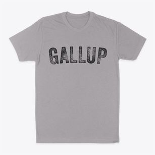 Gallup New Mexico Timeless Retro Classic Dad T-Shirt