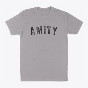 Amity Arkansas Timeless Retro Classic Dad T-Shirt