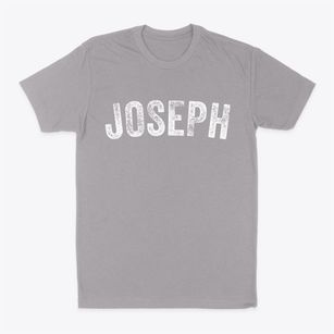 Joseph Utah Timeless Retro Classic Dad T-Shirt